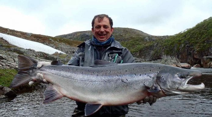 Einn hinna stóru …