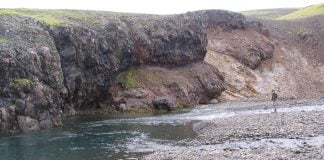 Þarna lá þessi mikli fiskur – síðari hluti viðtals við Garðar H. Svavarsson