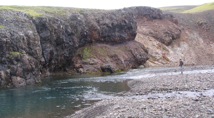 Þarna lá þessi mikli fiskur – síðari hluti viðtals við Garðar H. Svavarsson