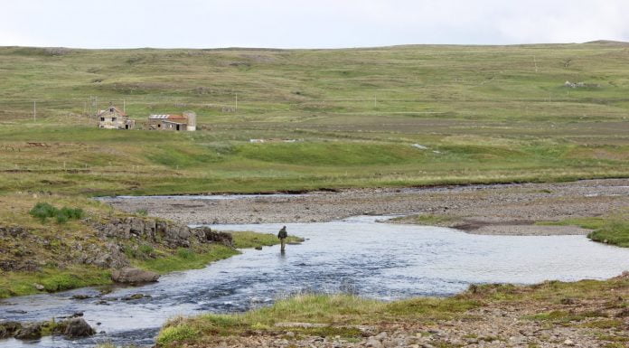 Haukadalsá