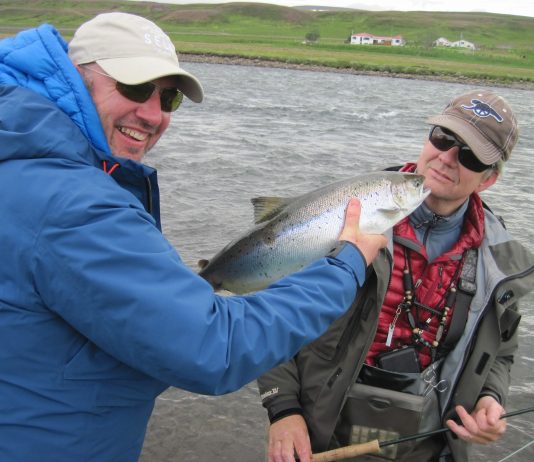 „Augljóst að það er meiri sjávardauði“