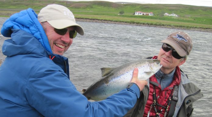 „Augljóst að það er meiri sjávardauði“
