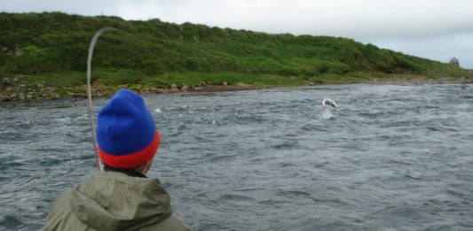 Að missa af flugi í glímu við stórlax