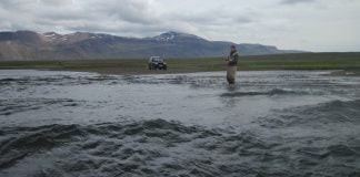 Pétur er að rækta upp algera perlu