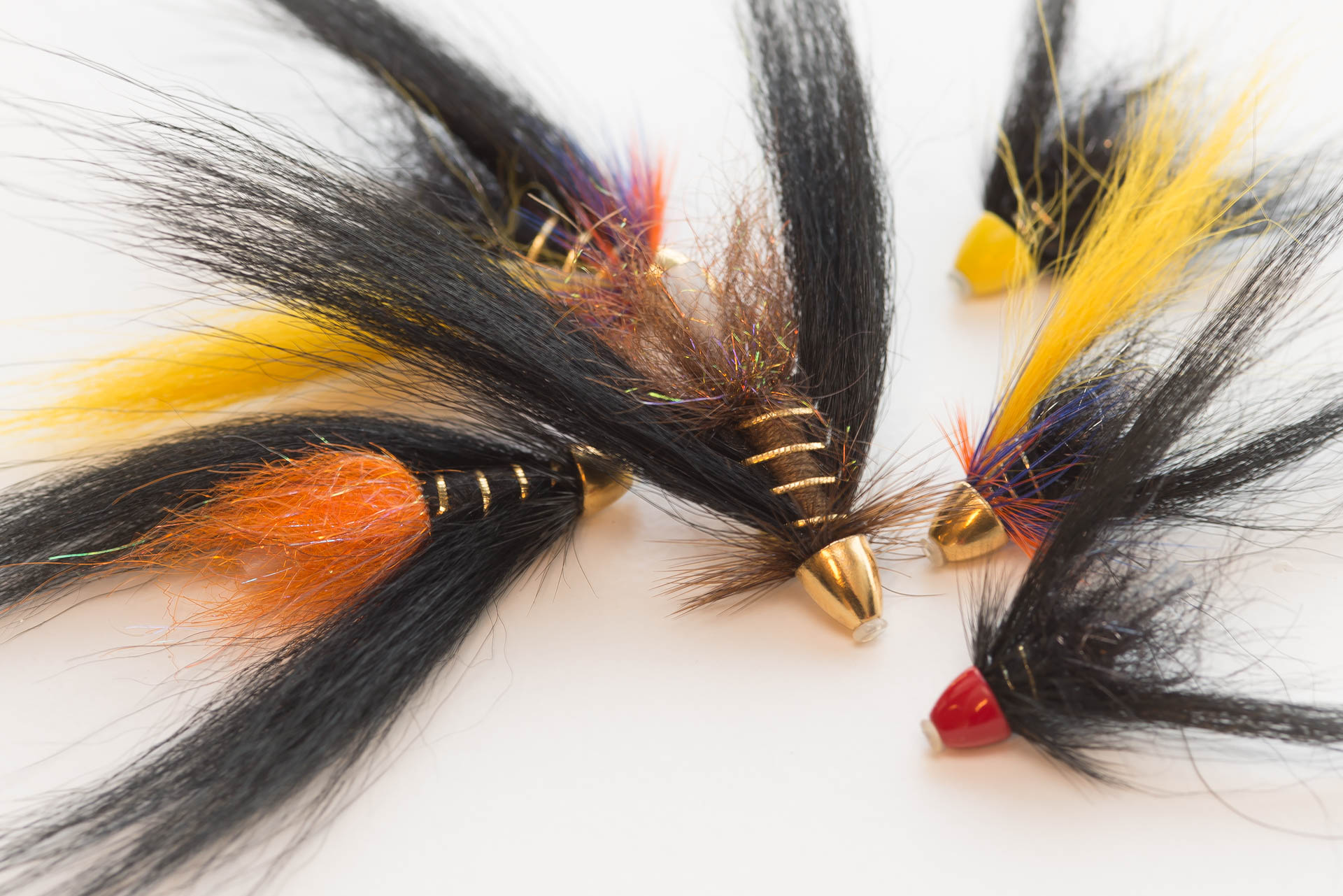 Flugur-Mars-2017-1724 Maddý, Friggi,