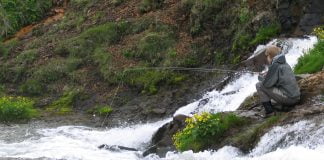 Úlfarsá, Korpa