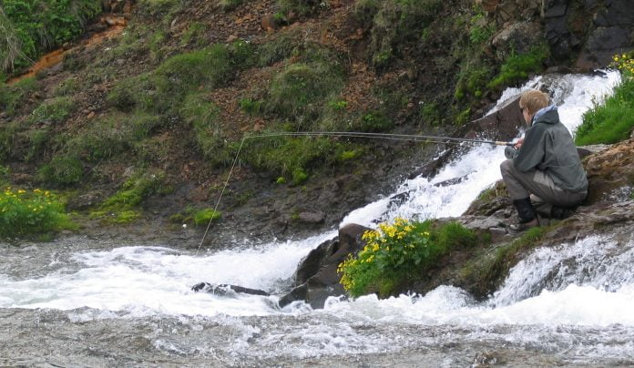 Úlfarsá, Korpa