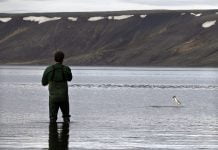 Veiðiperlurnar Kleifarvatn og Djúpavatn Kleifarvatn, vötn á Reykjanesi.