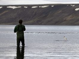 Veiðiperlurnar Kleifarvatn og Djúpavatn Kleifarvatn, vötn á Reykjanesi.