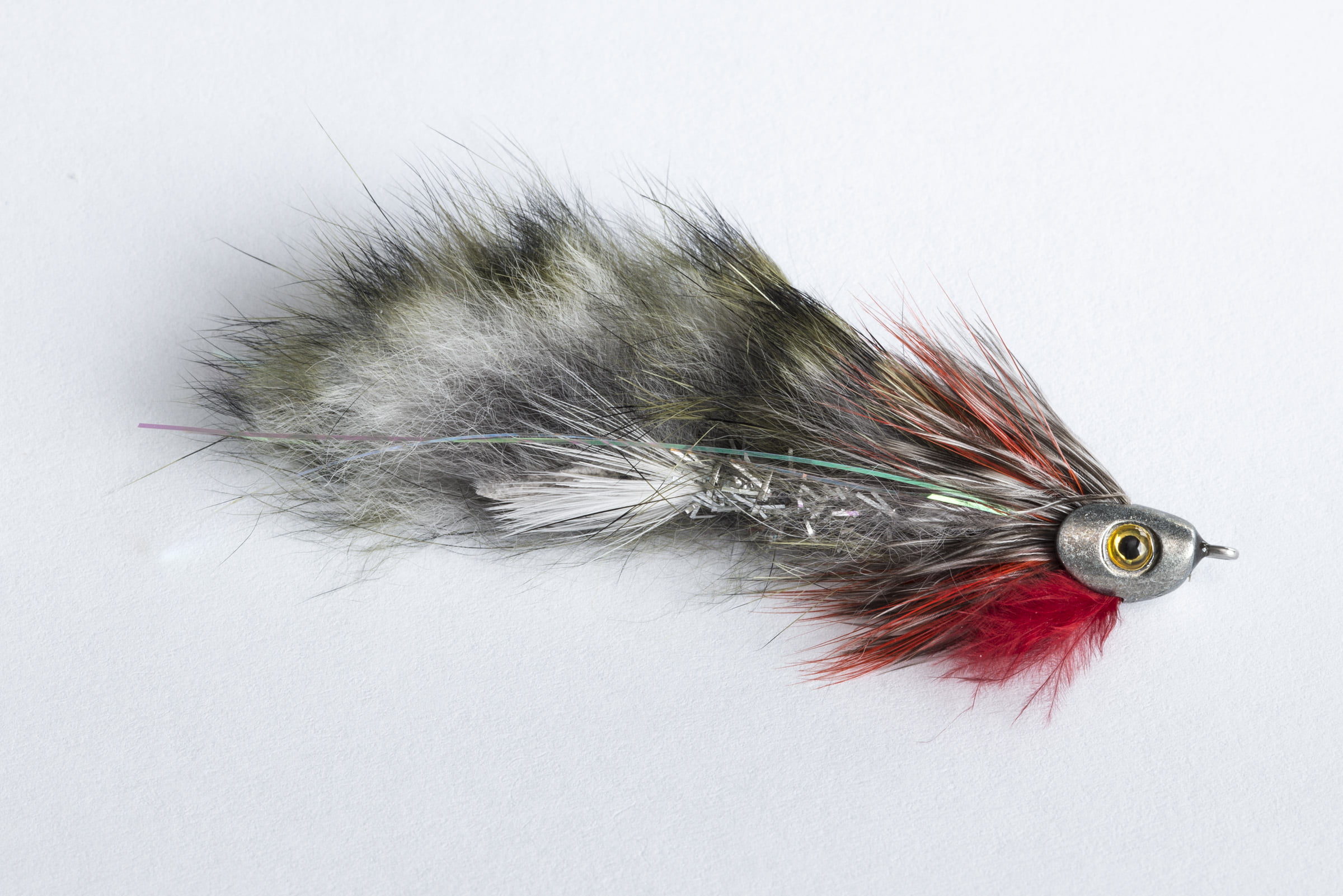 Flugur, Black Nosed Dace