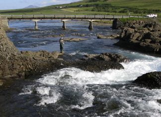Fínar opnanir í Kjós og Hítará Laxá í Kjós, Kvíslafoss