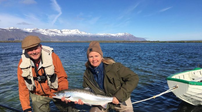 Glímt við tvo frekar litla árganga Halla Bergþóra Björnsdóttir, Laxá í Aðaldal