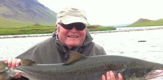 Ingólfur Þorbjörnsson, Hnausastrengur