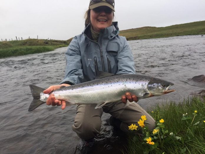 Freyja Kjartansdóttir, Laxá á Ásum