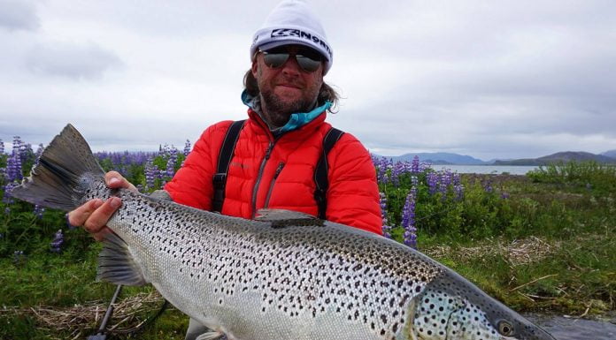 Nils Folmer Jörgensen, Þingvallavatn