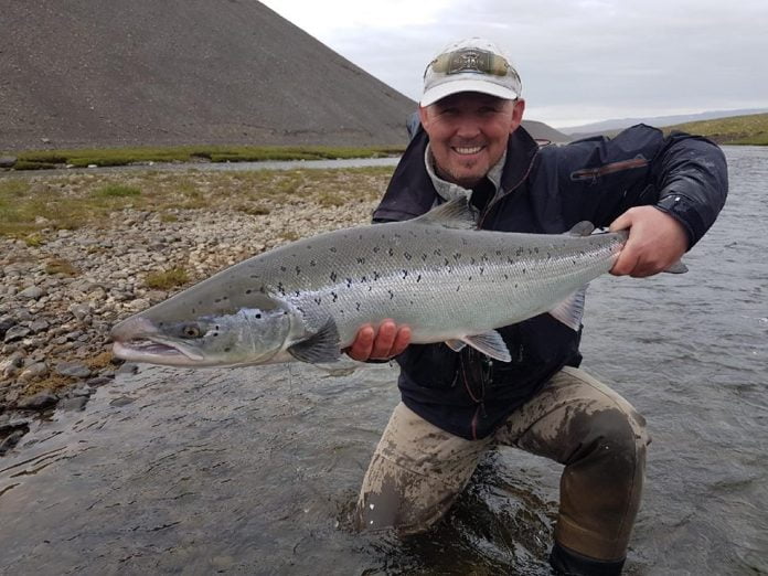 miðfjörður Miðfjarðará