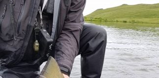 Sá stærsti í sumar – 105 cm í Nesi Hornflúð, Hilmar Hansson