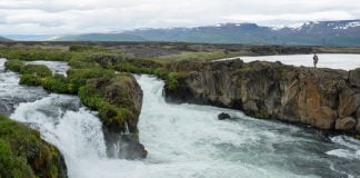 Sumarið mitt 2024 – Hafdís Guðlaugsdóttir