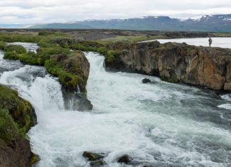 Sumarið mitt 2024 – Hafdís Guðlaugsdóttir