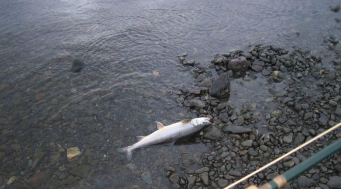 Hópið, Gljúfurá