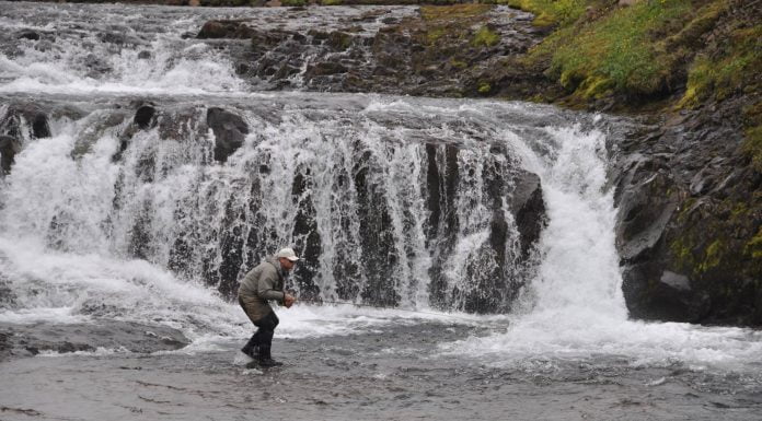 Heimsókn í lítt þekkta en samt fræga laxveiðiá Bakkaá, Fishpartner