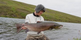 Elías Pétur. Blanda