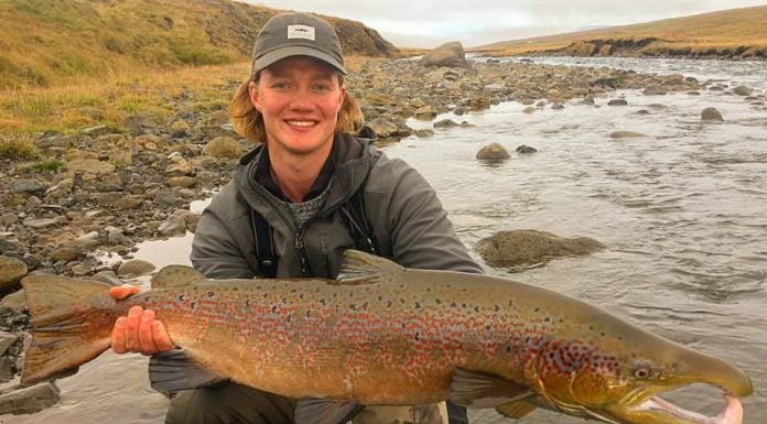 Þorsteinn Stefánsson, Miðfjarðará