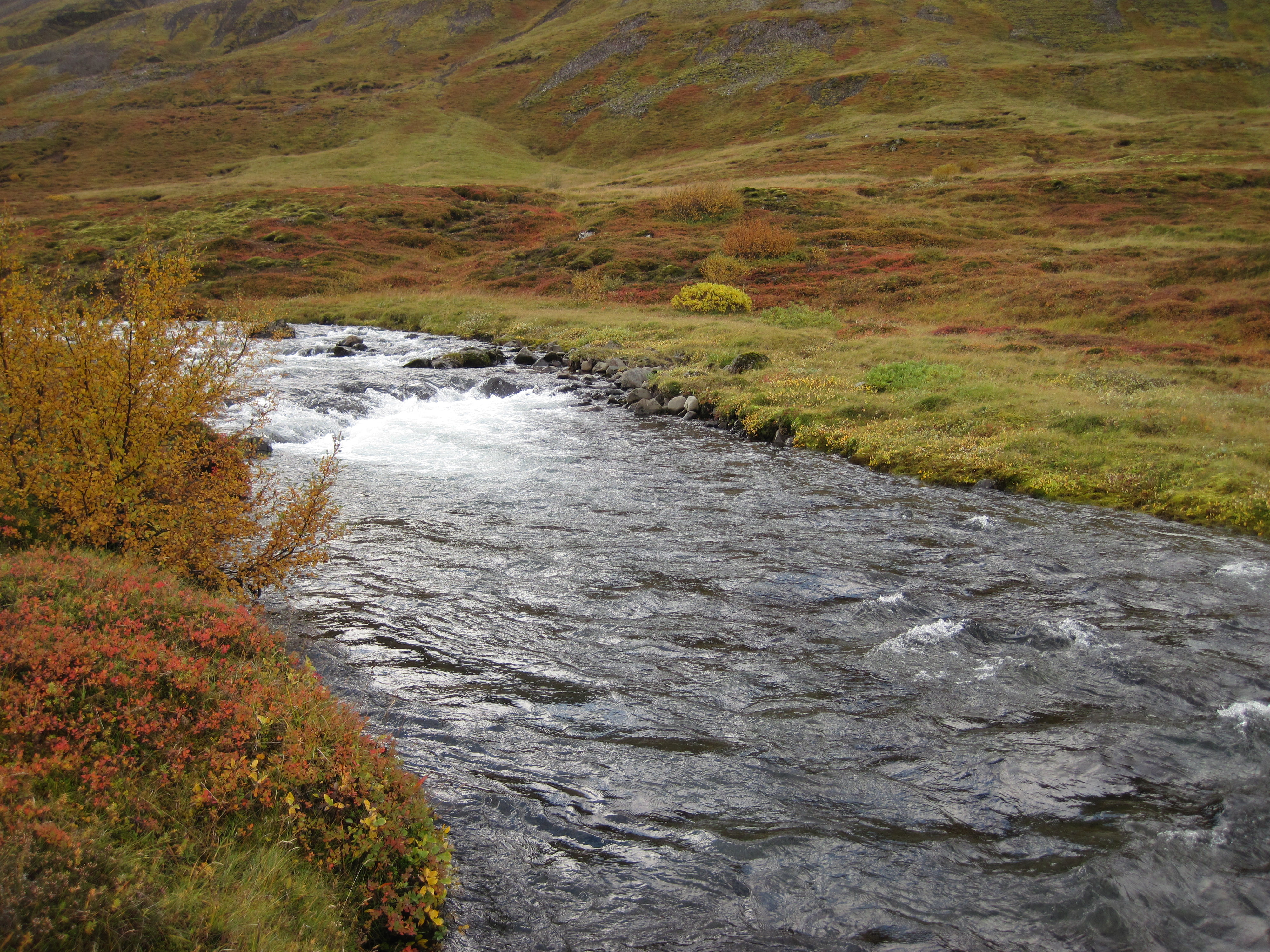 Brynjudalsá
