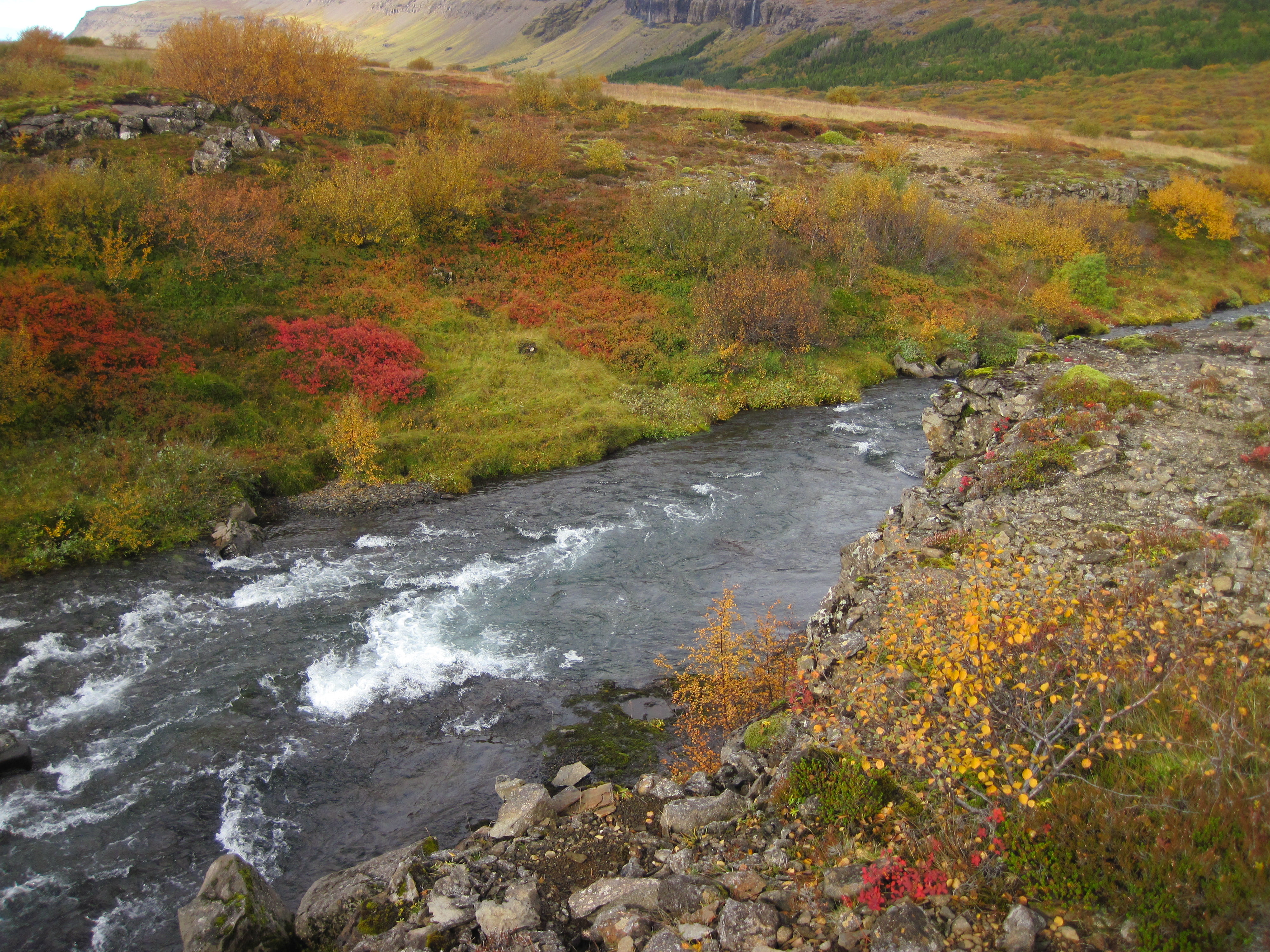 Bryjundalsá