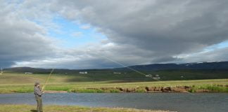 Veiðisumarið 2018: Víðidalsá og Fitjá Víðidalsá, Ármótafljót