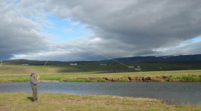 Víðidalsá, Ármótafljót