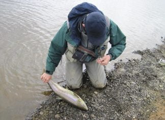 Ekki allir á eitt sáttir um stöðuna á laxveiðileyfamarkaðinum Svartstokkur, Kjarrá