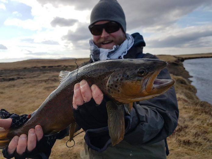 2018 Hólaá 2 Hólaá