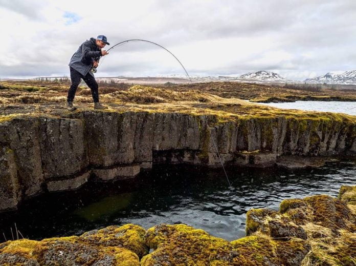 Þingvallavatn, Fish Partner