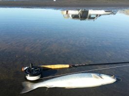 Eldhúsið….flottur bleikur fiskur Fögruhlíðarós