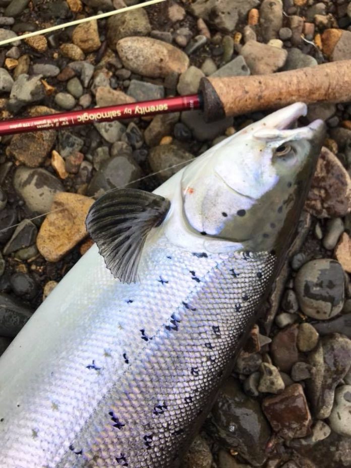 2018 Leirá opnun Leirá, lax