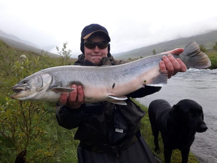 Eyjafjarðará, risableikja
