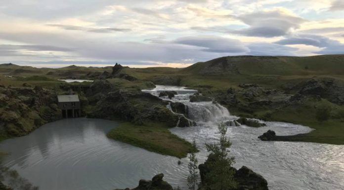 Tungulækur