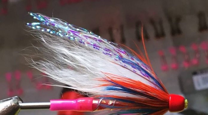 Sveinn Þór afhjúpar leynivopn Eyjafjarðardiskó, Sveinn Þór