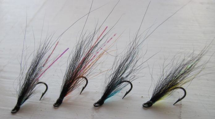 Skuggi kominn með systkini Skuggi....