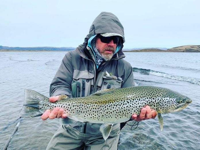 2019 Tarquin Tarquin