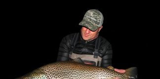 Ekki stóri draumurinn en samt….