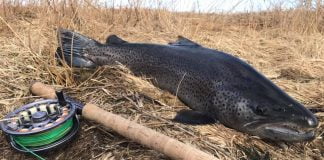 Skilyrðin settu strik á Eldvatn