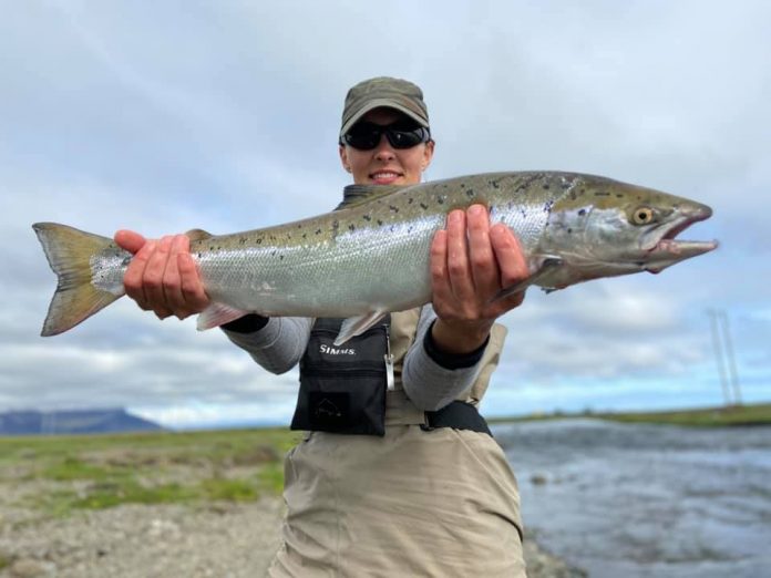 2020 Strauma Elín Björg