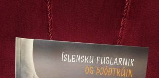 Íslensku fuglarnir og þjóðtrúin