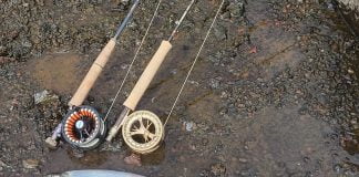 Sjóbleikjan farin að veiðast með ströndinni