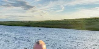 Tröll úr Laxá í  Dölum