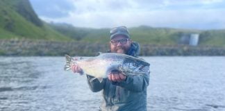 Skógá komin aftur á kortið