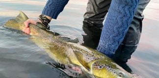 Laxá átti líflegan endasprett