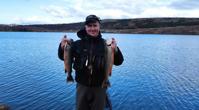 Vorveiðivötnin: Vífilstaðavatn